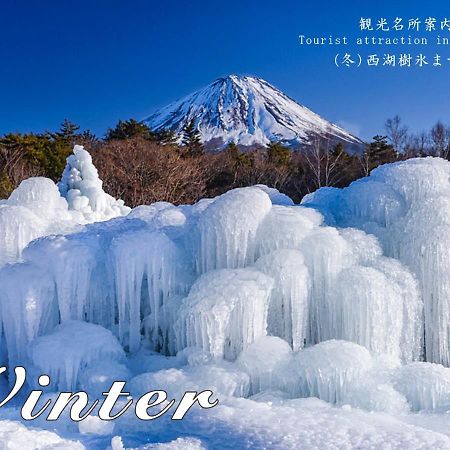 פוג'יקאוואגוצ'יקו Station Villa Plaisir Mt. Fuji מראה חיצוני תמונה