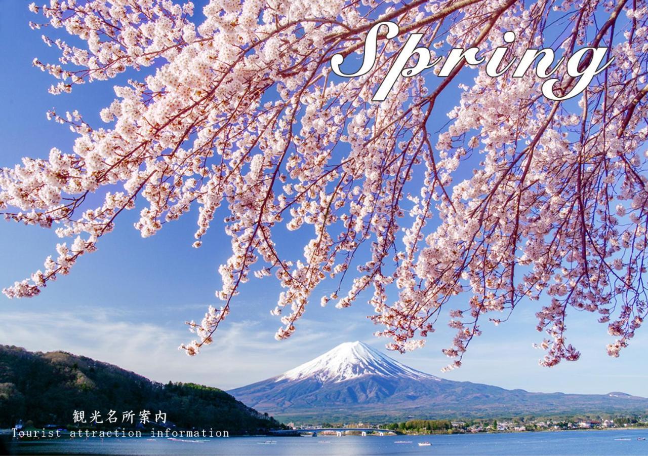 פוג'יקאוואגוצ'יקו Station Villa Plaisir Mt. Fuji מראה חיצוני תמונה